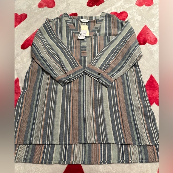 NWT Christopher & Banks Blouse Women's  Blue Striped 3/4 Sleeve V-neck - Picture 8 of 9